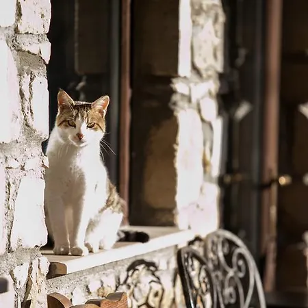 Atrion Highland Hotell Elatochori