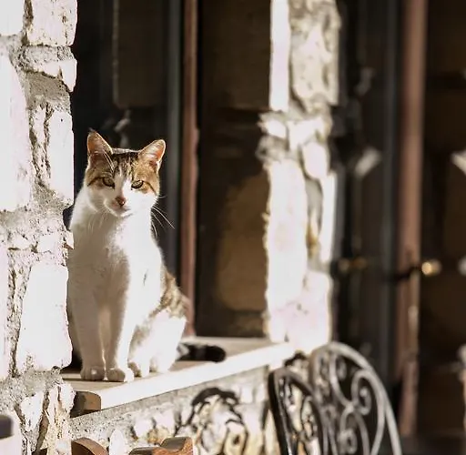 Atrion Highland Hotel Elatochori